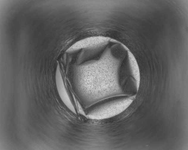 X0000080200624200612302339