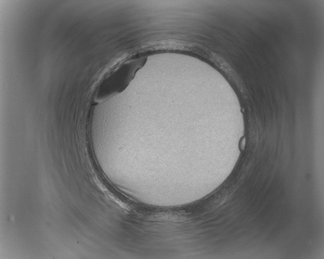 X0000080200625200612302338