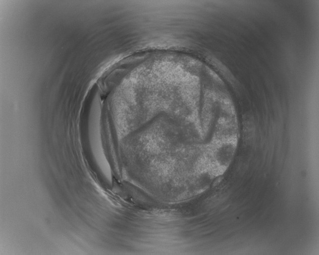 X0000080200626200612302338