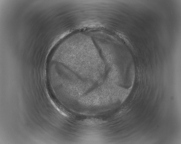 X0000080200630200612302338