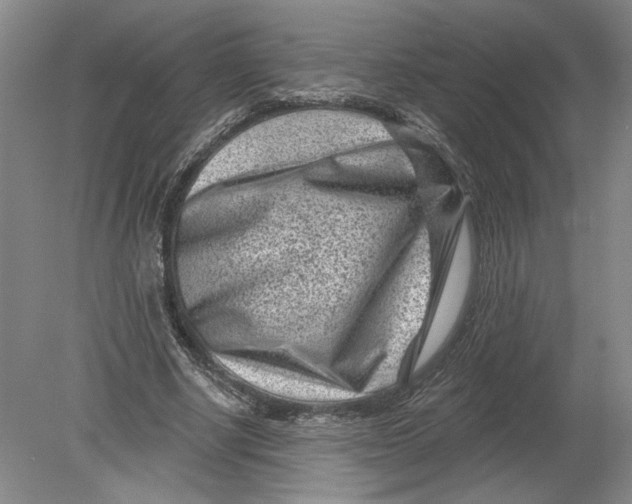 X0000080200634200612302338