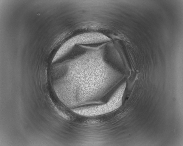 X0000080200638200612302339