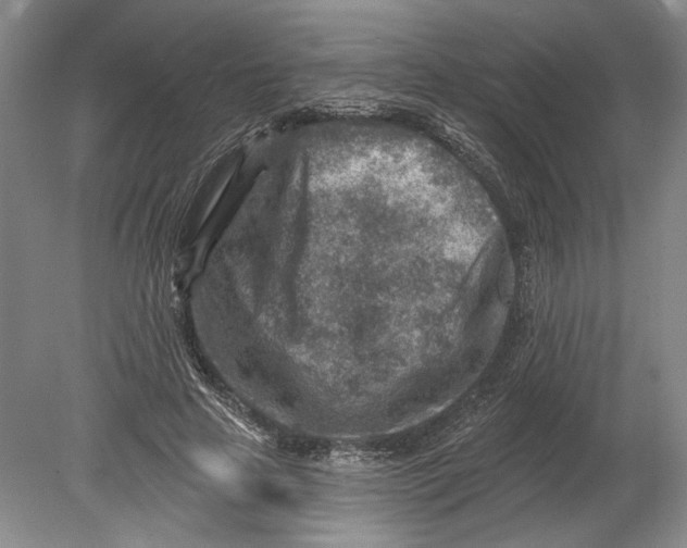 X0000080200641200612302339