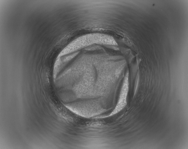 X0000080200643200612302339