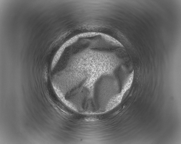 X0000080200644200612302339