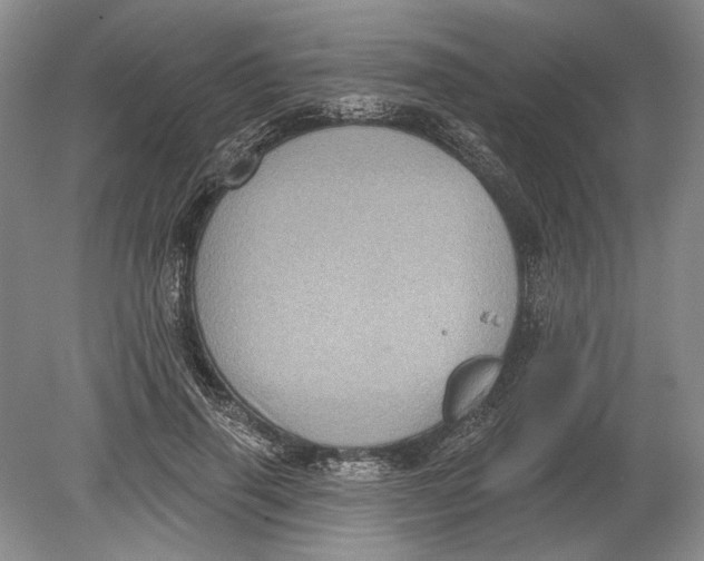 X0000080200645200612302339