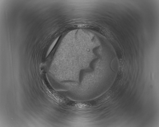 X0000080200650200612302339