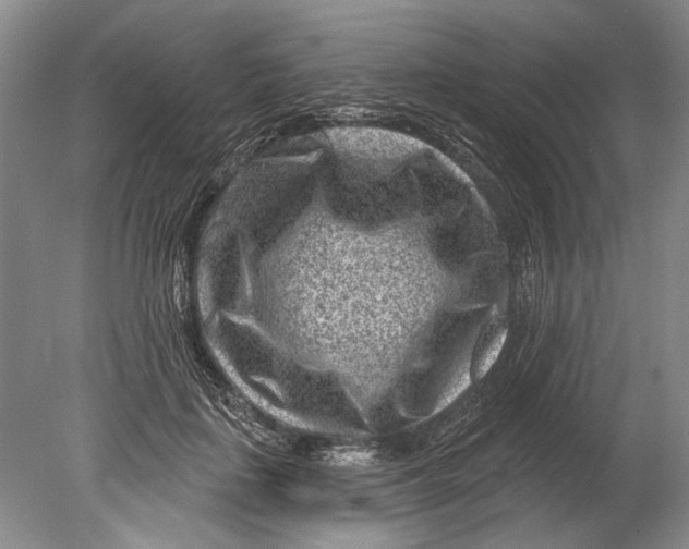 X0000080200651200612302339