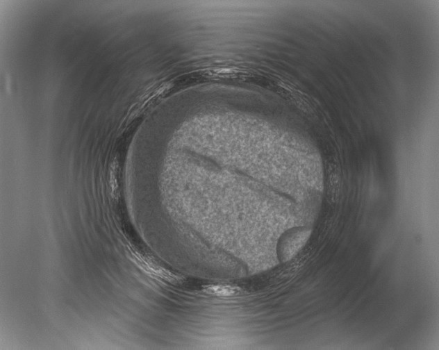 X0000080200654200612302339