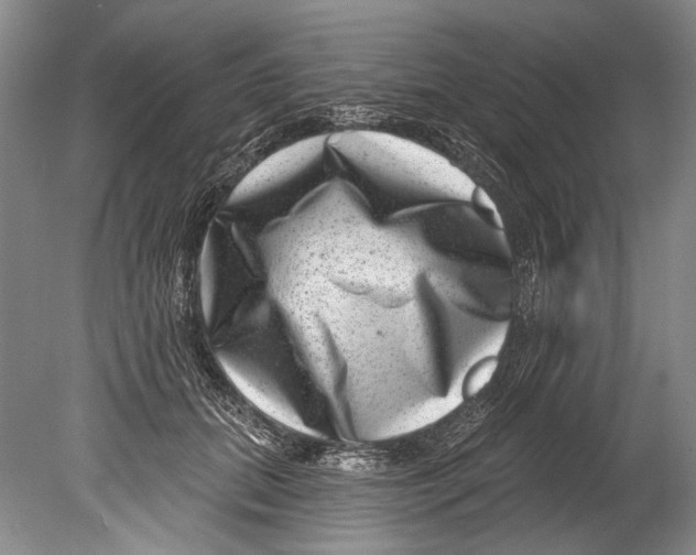 X0000080200655200612302339