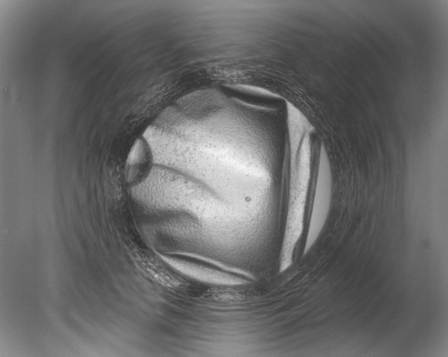 X0000080200658200612302339