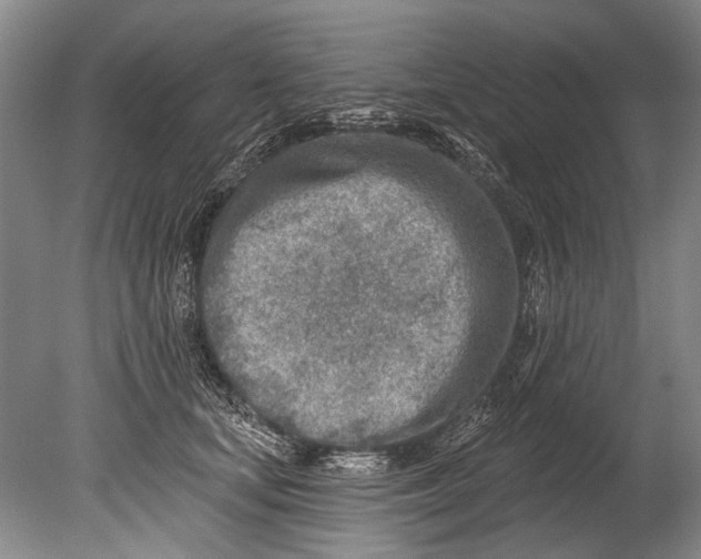 X0000080200659200612302339