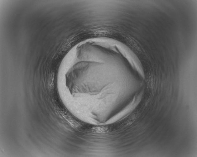 X0000080200660200612302339