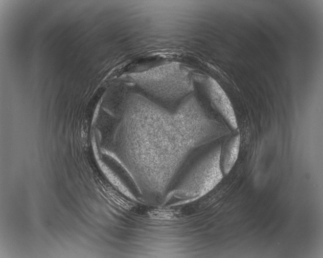 X0000080200661200612302339