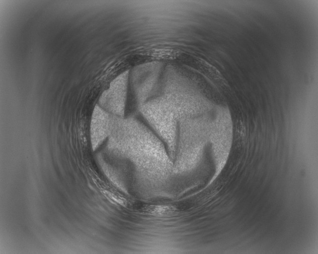 X0000080200663200612302339