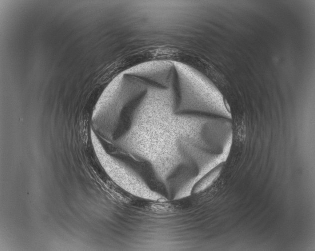 X0000080200666200612302339