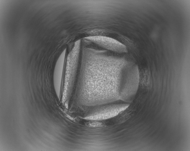 X0000080200669200612302339