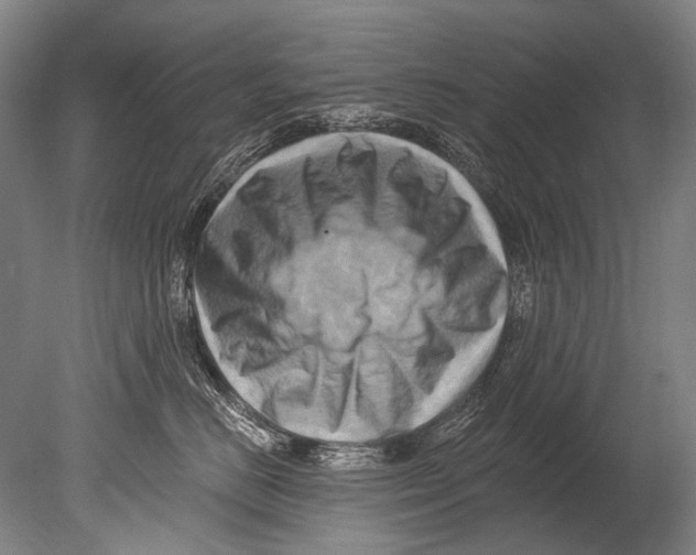 X0000080200670200612302339