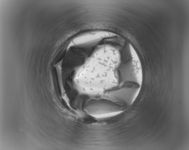 X0000080200673200612302338