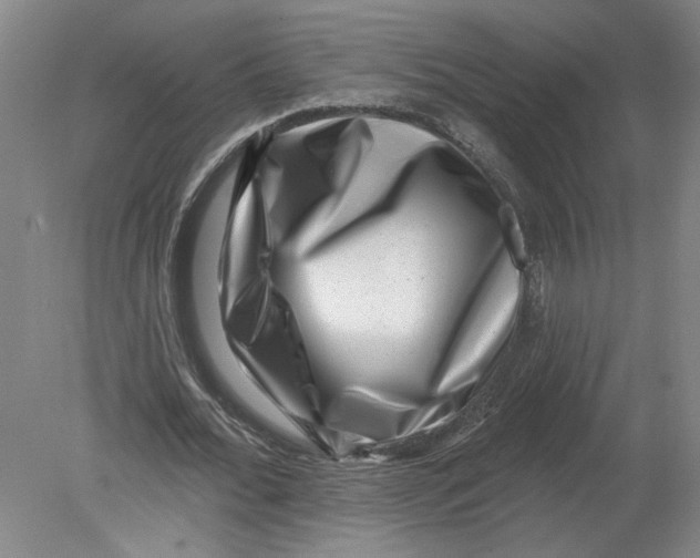 X0000080200676200612302338