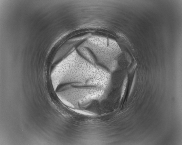 X0000080200680200612302338