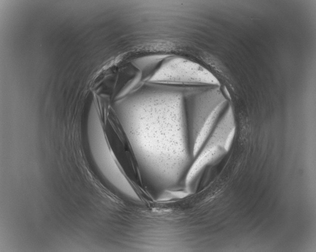 X0000080200681200612302338