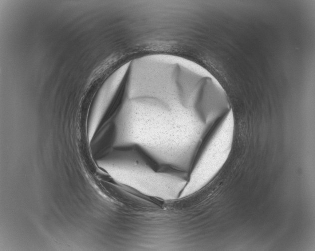 X0000080200682200612302338