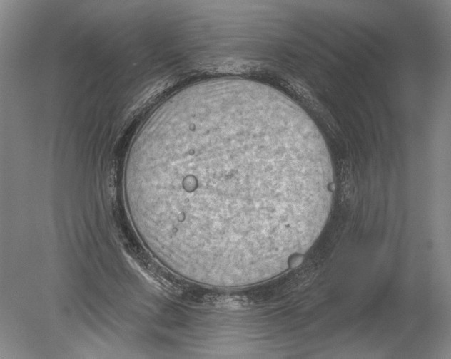 X0000080200683200612302338