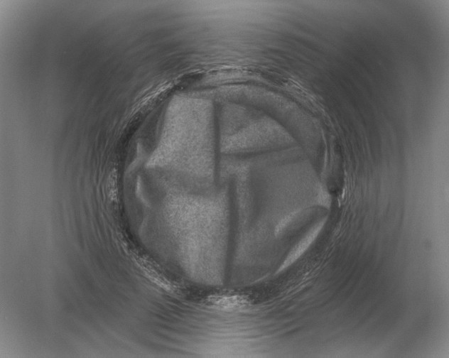 X0000080200689200612302338