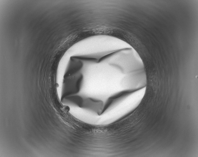 X0000080200690200612302338