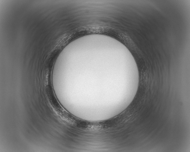 X0000080200694200612302338