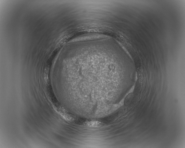 X0000080200695200612302338