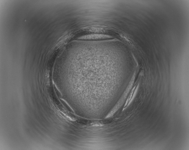 X0000080200696200612302338