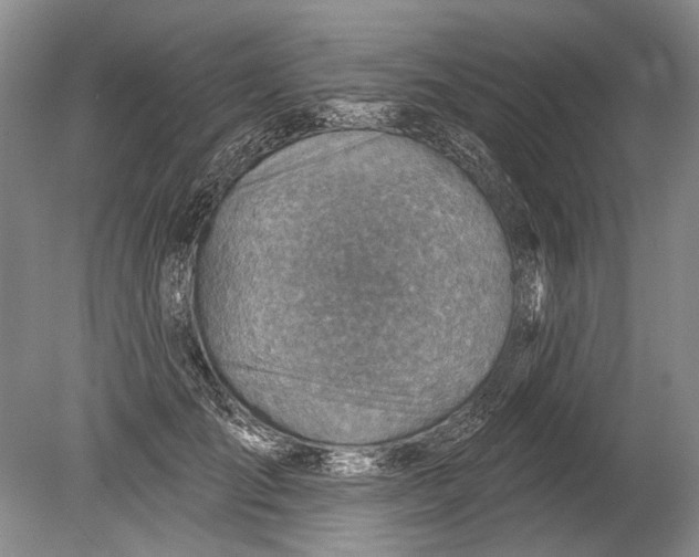 X0000080200701200612302338