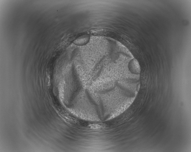 X0000080200703200612302338