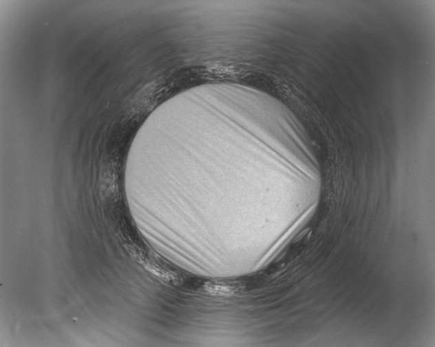 X0000080200706200612302338