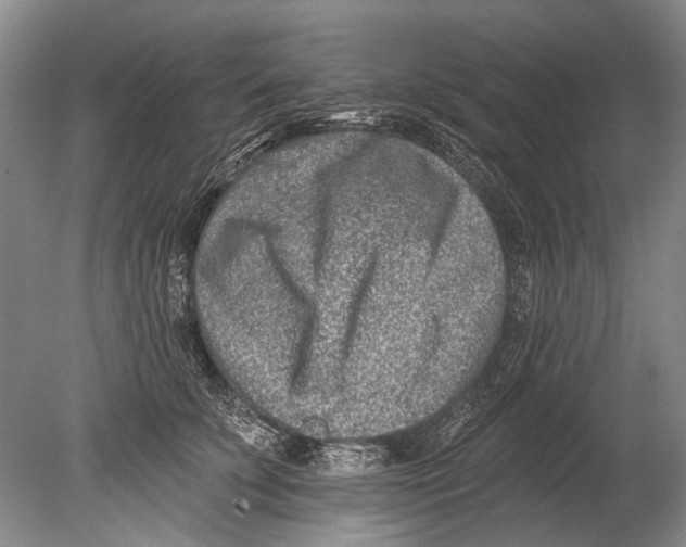 X0000080200707200612302338