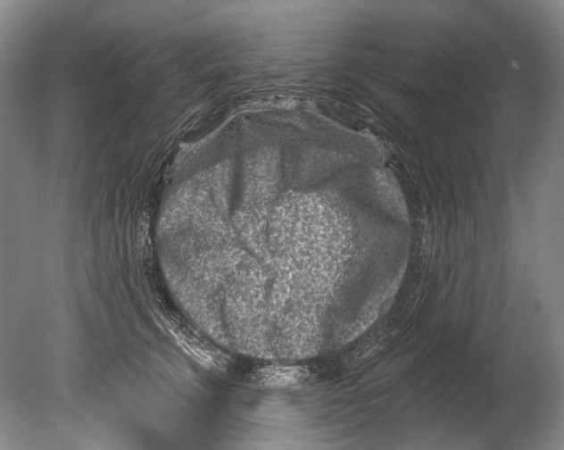 X0000080200711200612302338