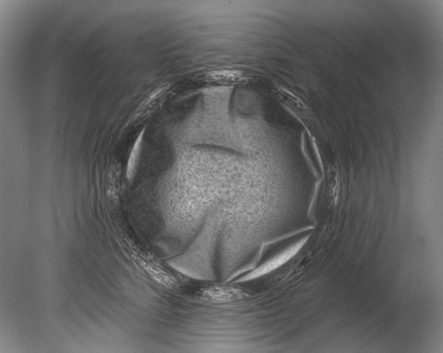 X0000080200712200612302338