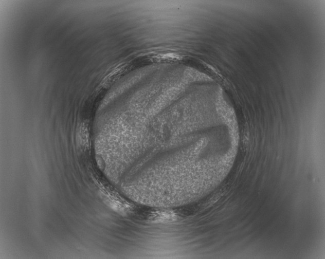 X0000080200715200612302338