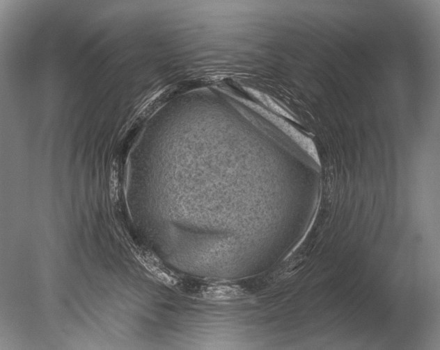 X0000080200716200612302338