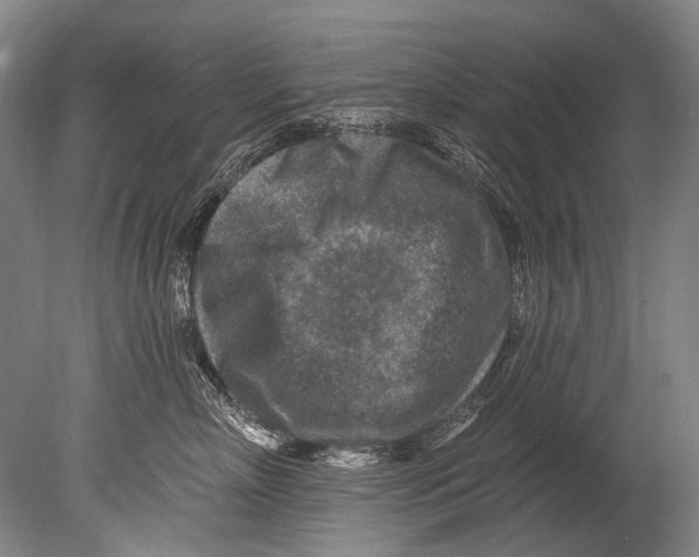 X0000080200718200612302338