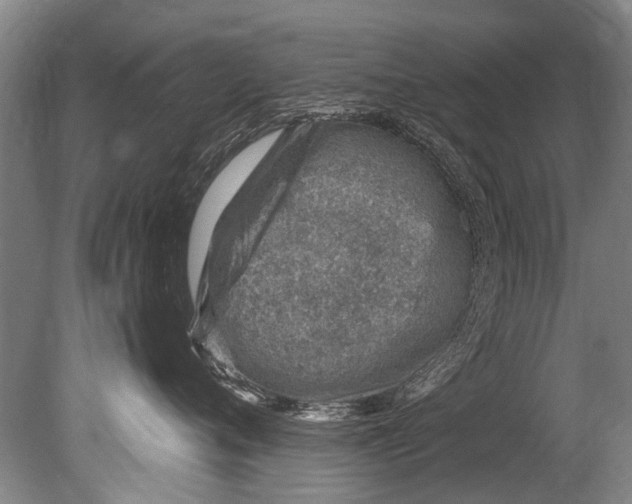 X0000080200720200612302337