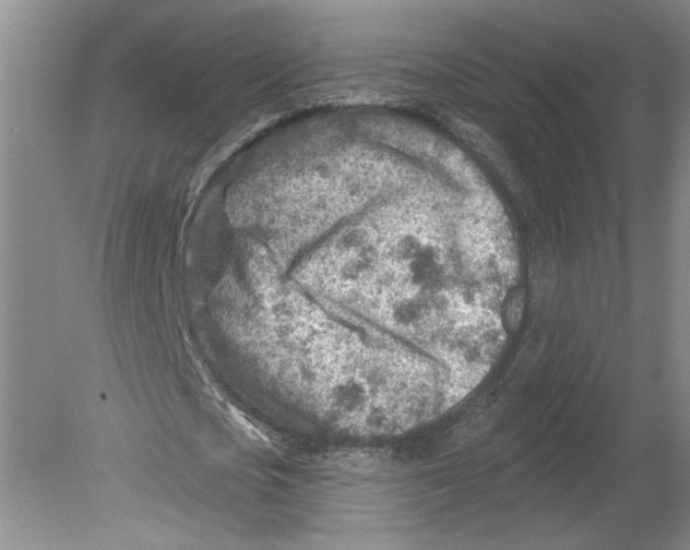 X0000080200721200612302337