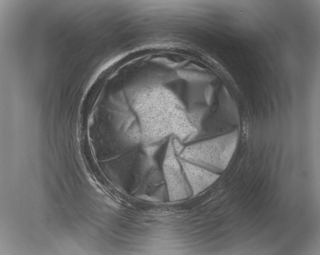 X0000080200724200612302337