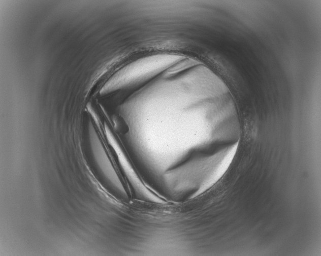 X0000080200725200612302337