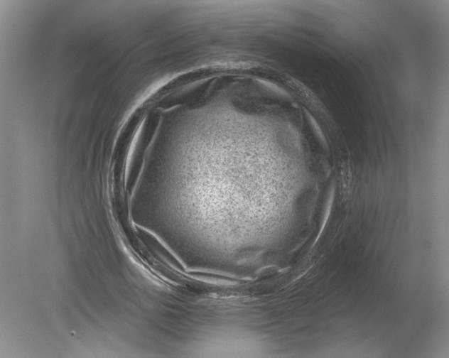 X0000080200726200612302337