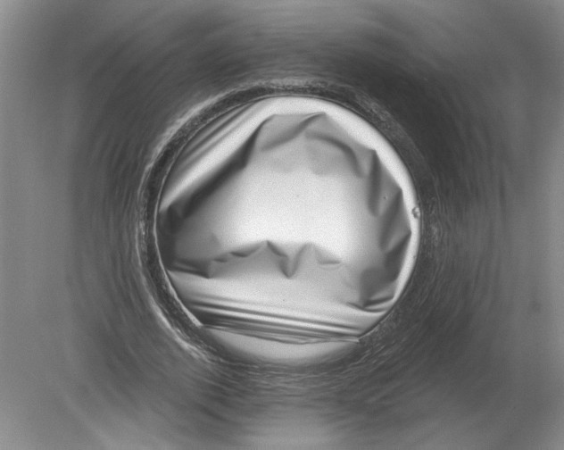 X0000080200728200612302337