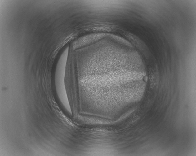 X0000080200729200612302337