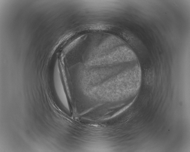 X0000080200731200612302337